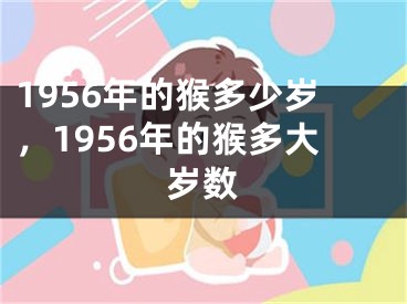 1956年的猴多少岁，1956年的猴多大岁数