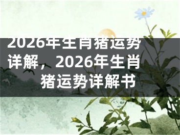 2026年生肖猪运势详解，2026年生肖猪运势详解书