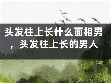 头发往上长什么面相男，头发往上长的男人