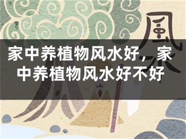 家中养植物风水好，家中养植物风水好不好