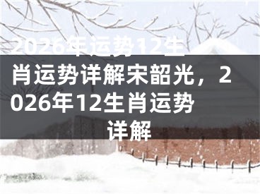2026年运势12生肖运势详解宋韶光，2026年12生肖运势详解
