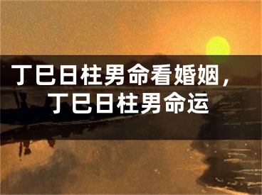 丁巳日柱男命看婚姻，丁巳日柱男命运