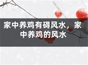 家中养鸡有碍风水，家中养鸡的风水