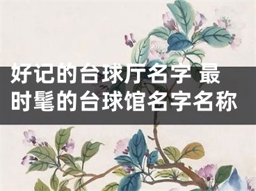 好记的台球厅名字 最时髦的台球馆名字名称