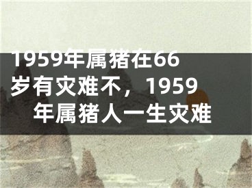 1959年属猪在66岁有灾难不，1959年属猪人一生灾难