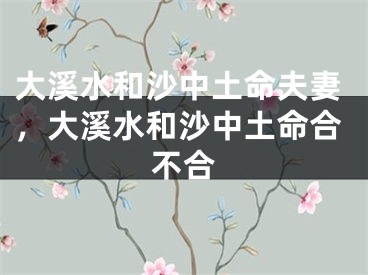 大溪水和沙中土命夫妻，大溪水和沙中土命合不合