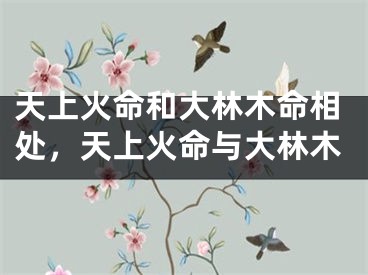 天上火命和大林木命相处，天上火命与大林木