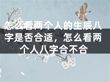 怎么看两个人的生辰八字是否合适,怎么看两个人八字合不合