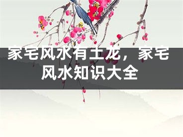 家宅风水有土龙，家宅风水知识大全