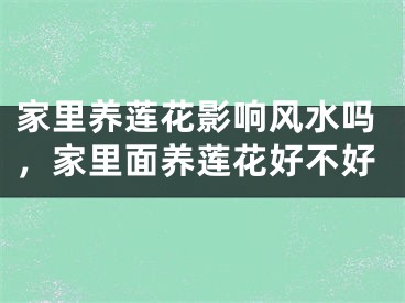家里养莲花影响风水吗，家里面养莲花好不好