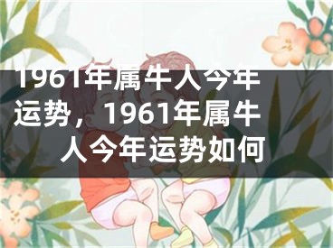 1961年属牛人今年运势，1961年属牛人今年运势如何