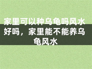 家里可以种乌龟吗风水好吗，家里能不能养乌龟风水