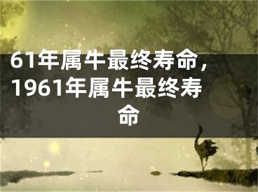 61年属牛最终寿命，1961年属牛最终寿命