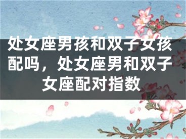 处女座男孩和双子女孩配吗,处女座男和双子女座配对指数