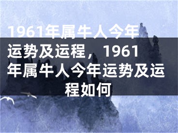 1961年属牛人今年运势及运程，1961年属牛人今年运势及运程如何