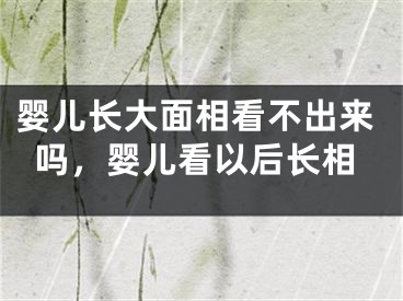 婴儿长大面相看不出来吗，婴儿看以后长相