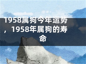 1958属狗今年运势，1958年属狗的寿命