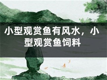 小型观赏鱼有风水，小型观赏鱼饲料