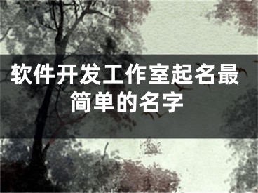 软件开发工作室起名最简单的名字