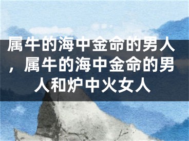 属牛的海中金命的男人,属牛的海中金命的男人和炉中火女人