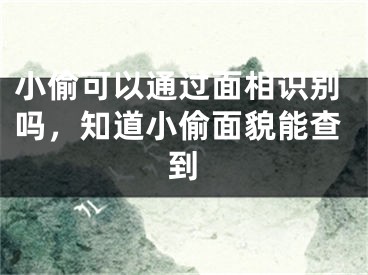 小偷可以通过面相识别吗，知道小偷面貌能查到