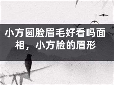 小方圆脸眉毛好看吗面相，小方脸的眉形
