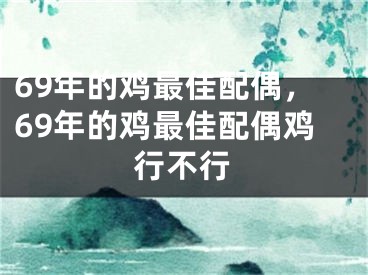 69年的鸡最佳配偶，69年的鸡最佳配偶鸡行不行