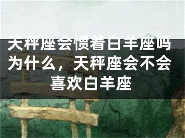 天秤座会惯着白羊座吗为什么，天秤座会不会喜欢白羊座