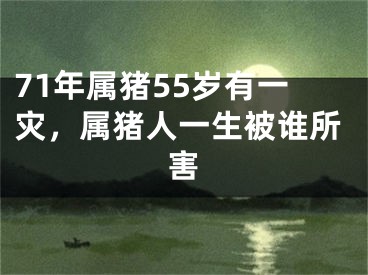 71年属猪55岁有一灾，属猪人一生被谁所害