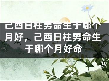 己酉日柱男命生于哪个月好,己酉日柱男命生于哪个月好命