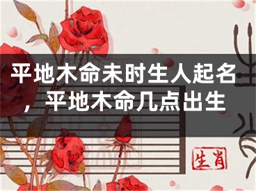 平地木命未时生人起名，平地木命几点出生