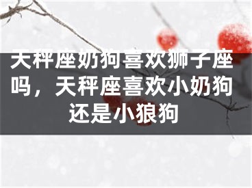 天秤座奶狗喜欢狮子座吗，天秤座喜欢小奶狗还是小狼狗