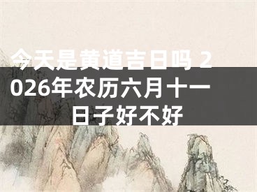 今天是黄道吉日吗 2026年农历六月十一日子好不好