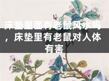 床垫里面有老鼠风水吗，床垫里有老鼠对人体有害