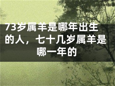 73岁属羊是哪年出生的人，七十几岁属羊是哪一年的