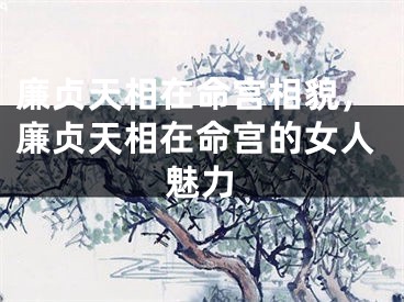 廉贞天相在命宫相貌，廉贞天相在命宫的女人魅力
