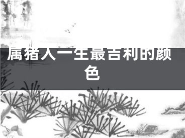 属猪人一生最吉利的颜色