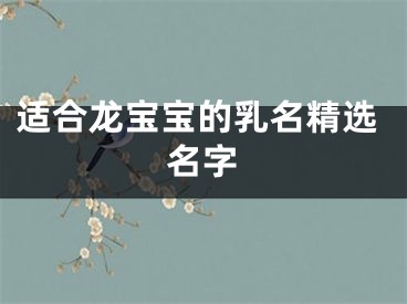 适合龙宝宝的乳名精选名字