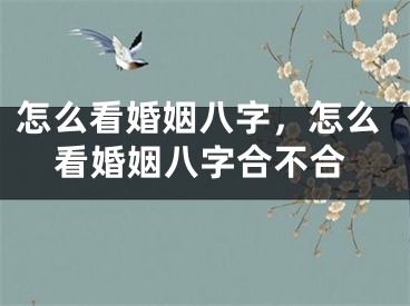 怎么看婚姻八字，怎么看婚姻八字合不合