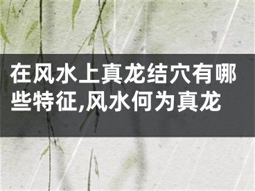 在风水上真龙结穴有哪些特征,风水何为真龙