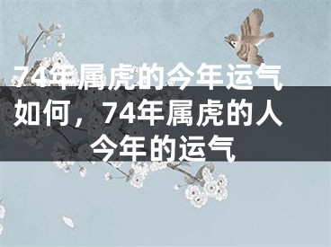 74年属虎的今年运气如何，74年属虎的人今年的运气