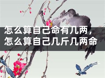 怎么算自己命有几两，怎么算自己几斤几两命
