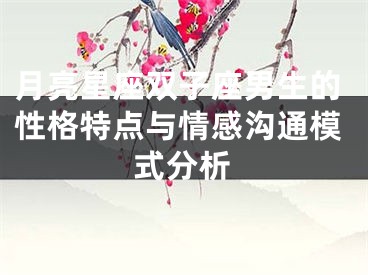 月亮星座双子座男生的性格特点与情感沟通模式分析