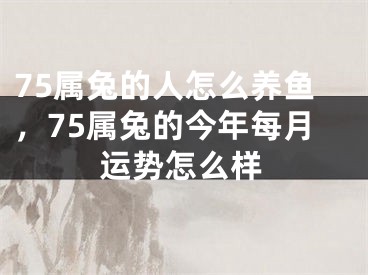 75属兔的人怎么养鱼，75属兔的今年每月运势怎么样