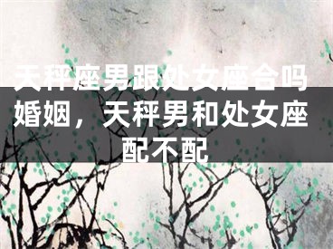 天秤座男跟处女座合吗婚姻,天秤男和处女座配不配