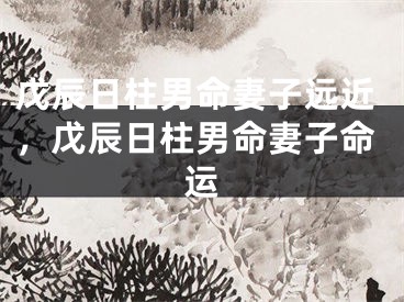 戊辰日柱男命妻子远近，戊辰日柱男命妻子命运