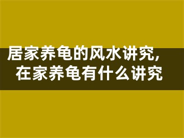 居家养龟的风水讲究,在家养龟有什么讲究