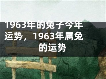 1963年的兔子今年运势，1963年属兔的运势