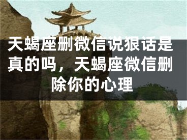 天蝎座删微信说狠话是真的吗,天蝎座微信删除你的心理