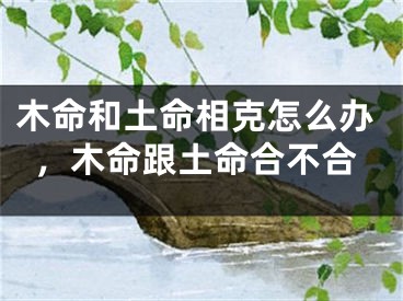 木命和土命相克怎么办，木命跟土命合不合